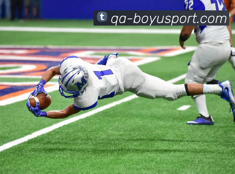 博鱼足球APP 封面图